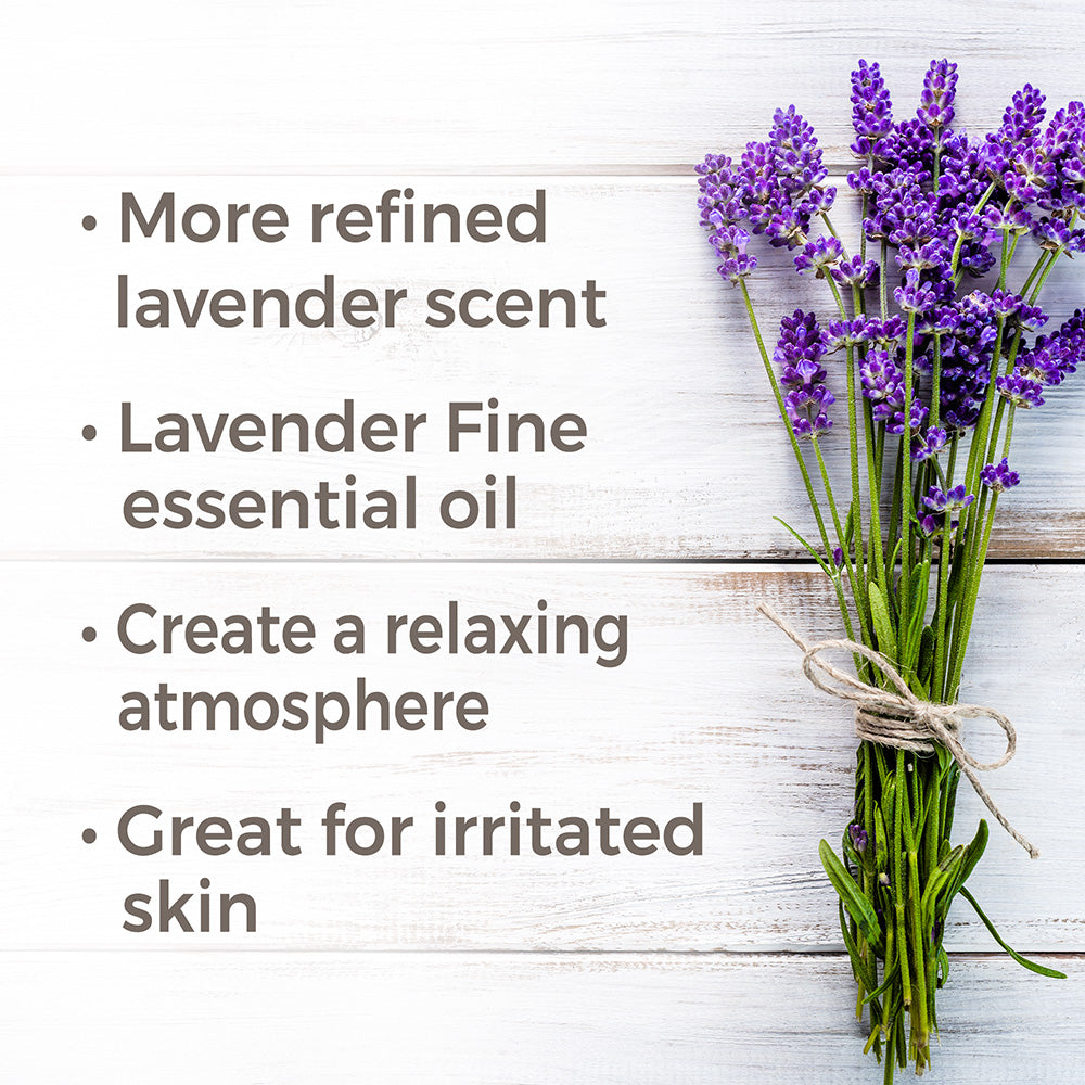 Plant Therapy Lavender Organic Essential Oil 30 ml (1 oz) 100% Pure
