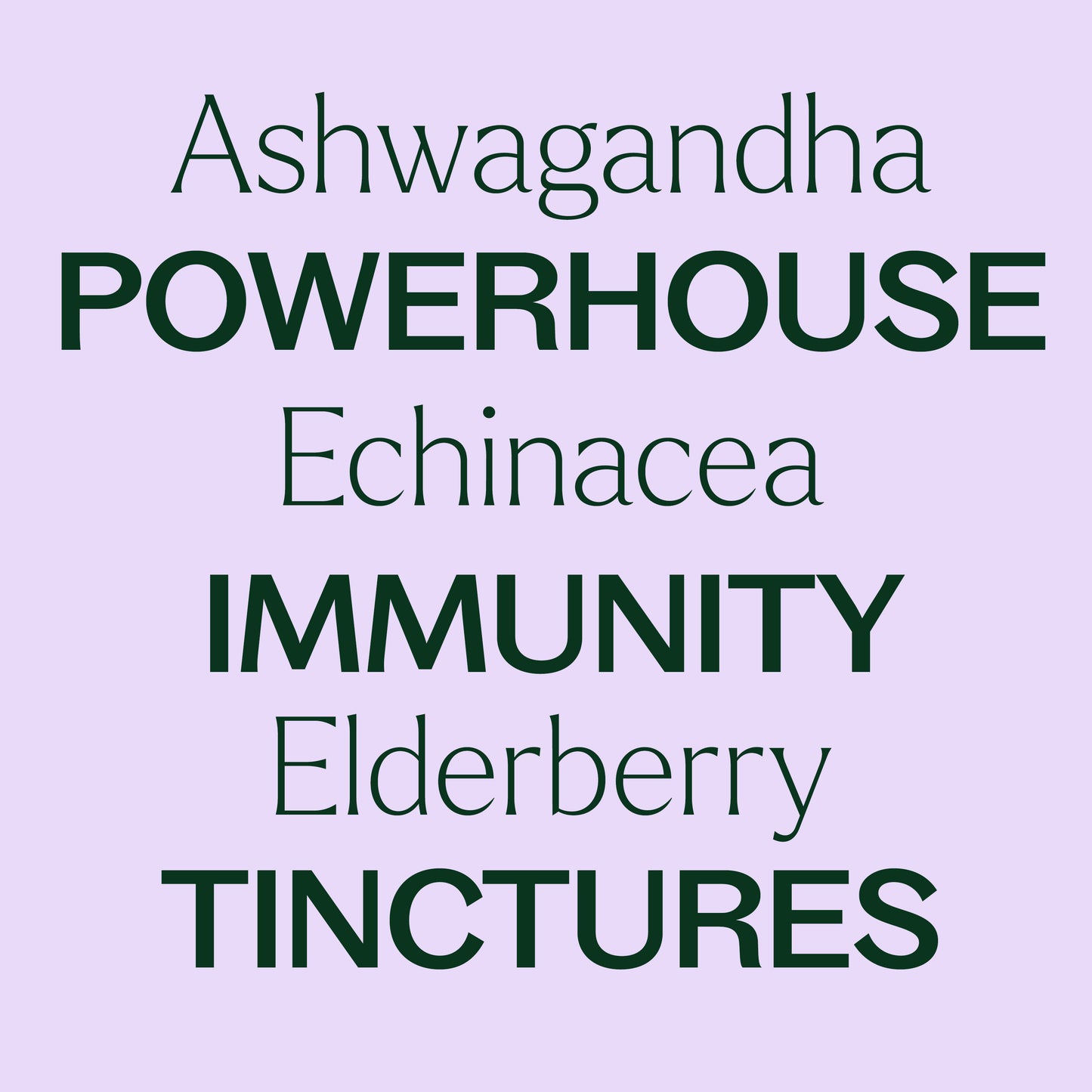 Ashwadandha, echinacea, elderberry, powerhouse immunity tinctures