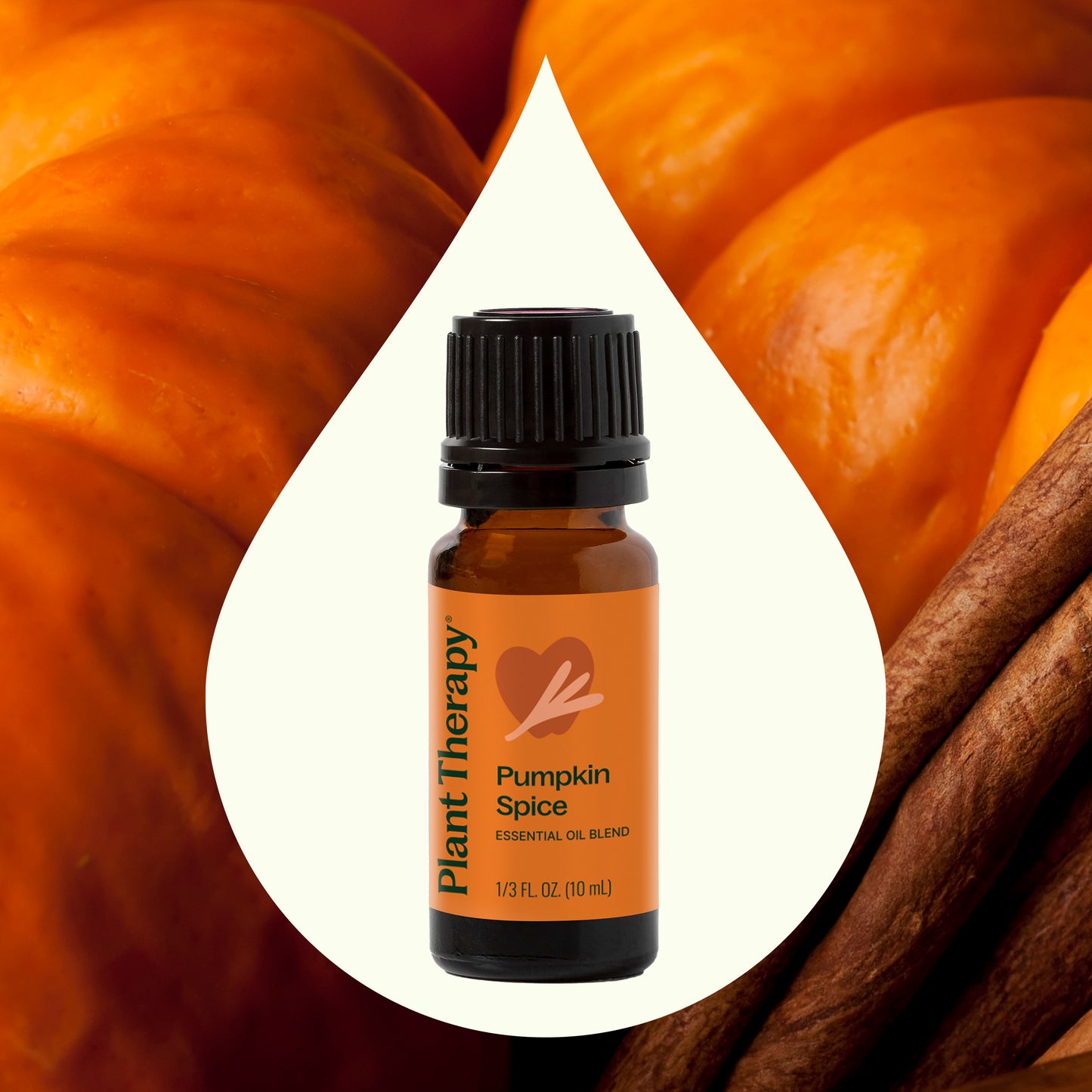 Pumpkin Spice Essential Oil Blend