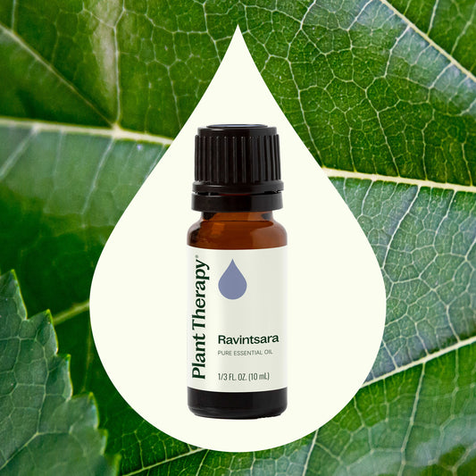 Ravintsara Essential Oil