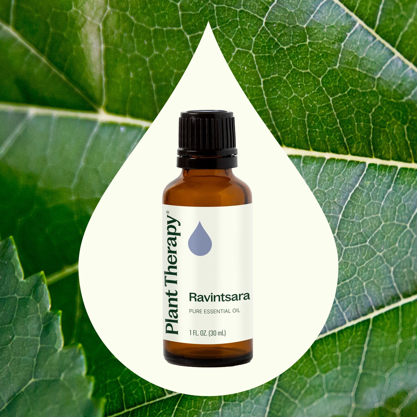 Ravintsara Essential Oil