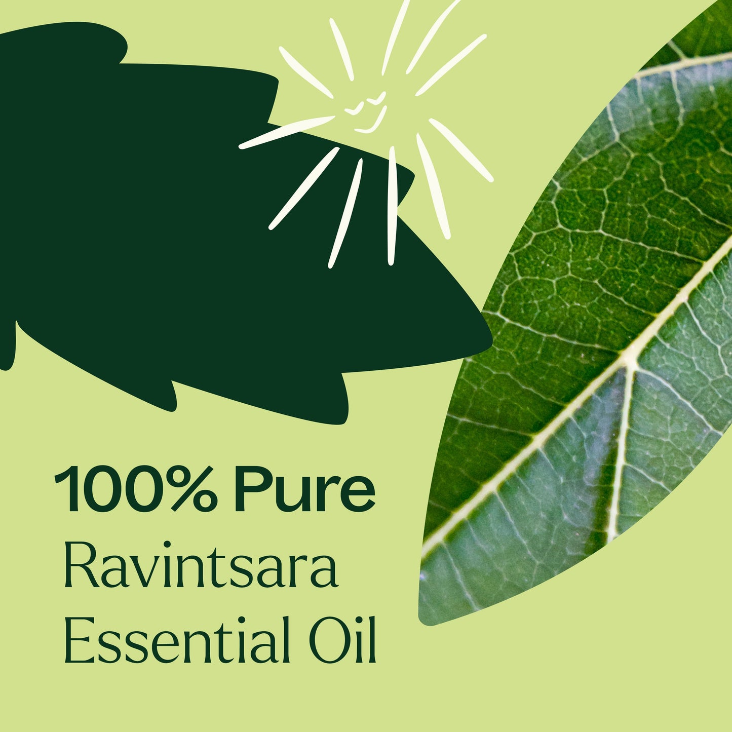 Ravintsara Essential Oil