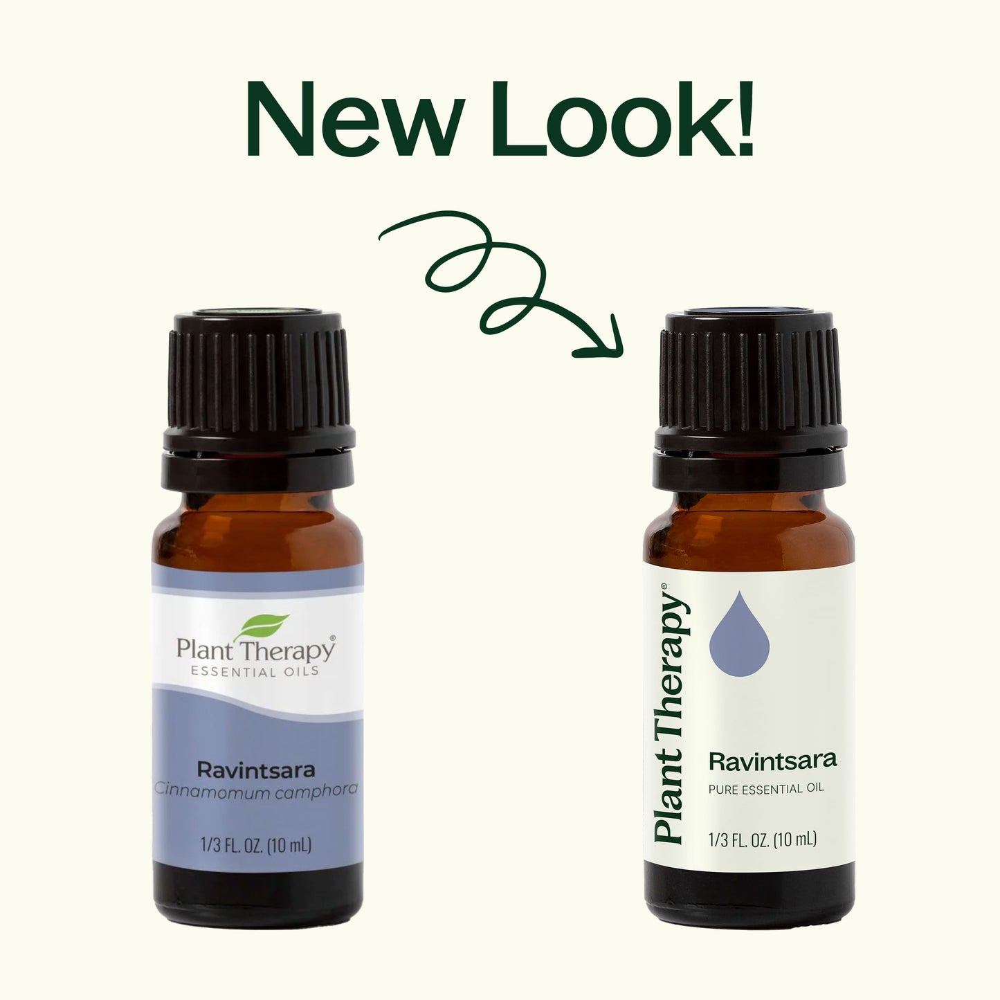 Ravintsara Essential Oil