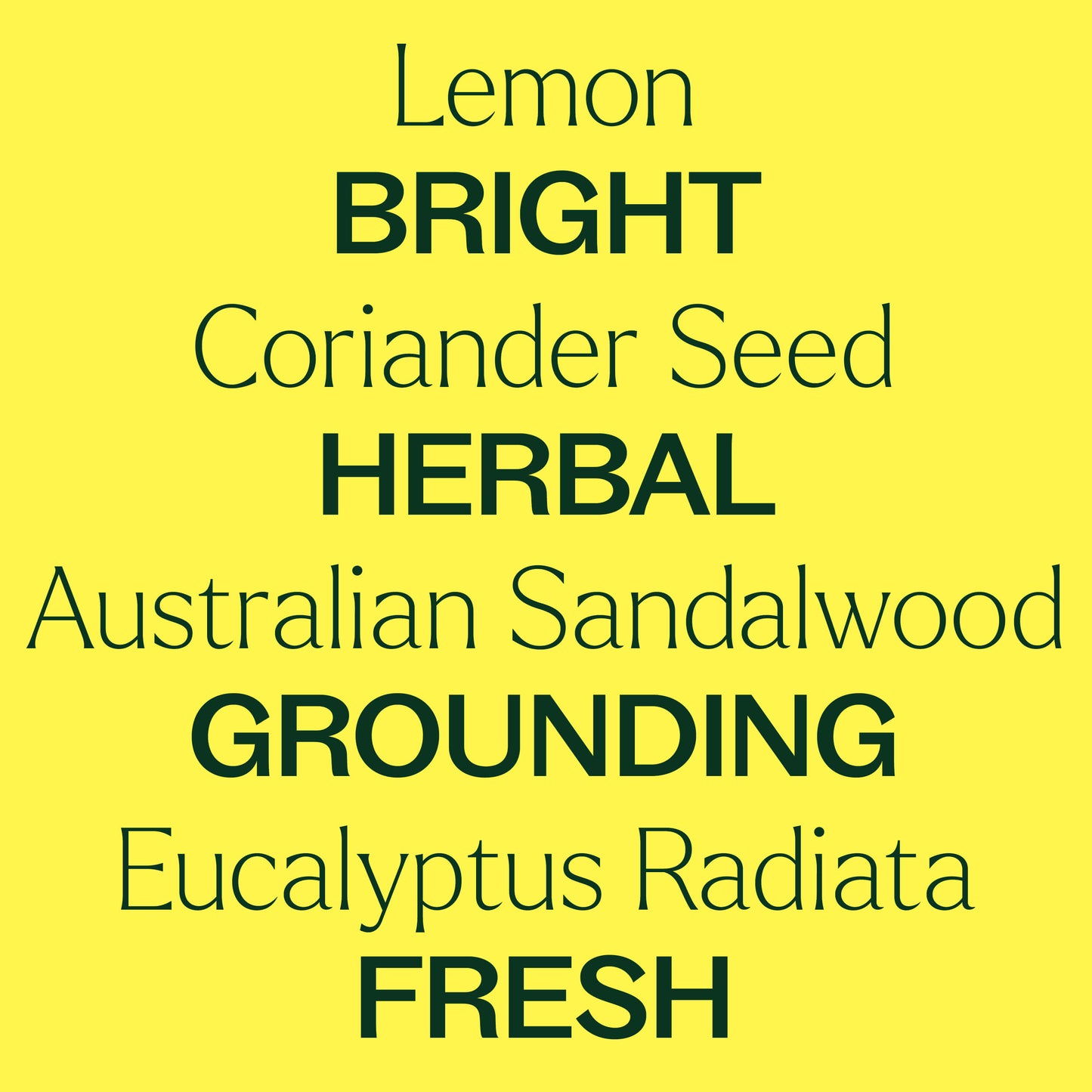 Lemon, coriander, sandalwood, eucalyptus. Bright, herbal, grounding, fresh