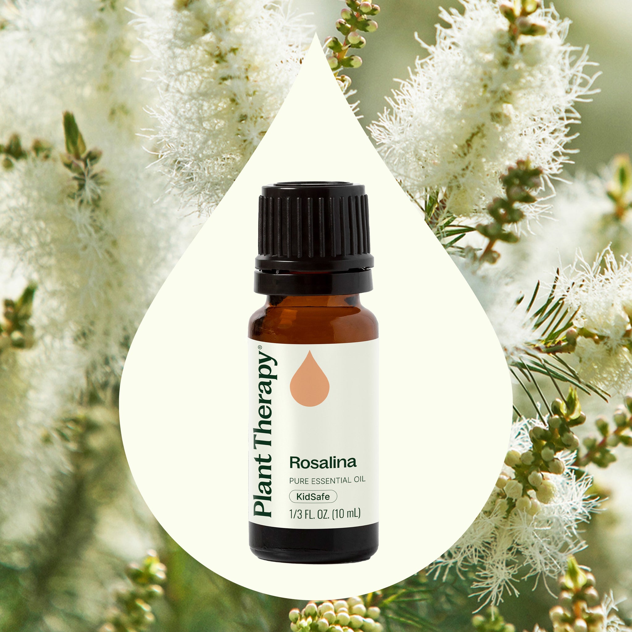 Rosalina Essential Oil – Plant Therapy