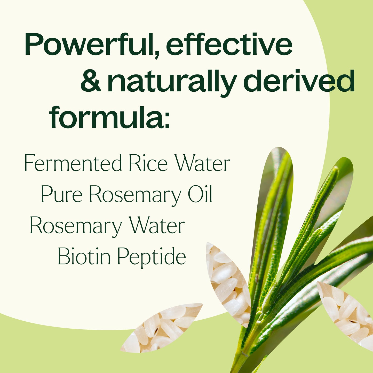 Rosemary & Rice Water Daily Hair Growth Spray