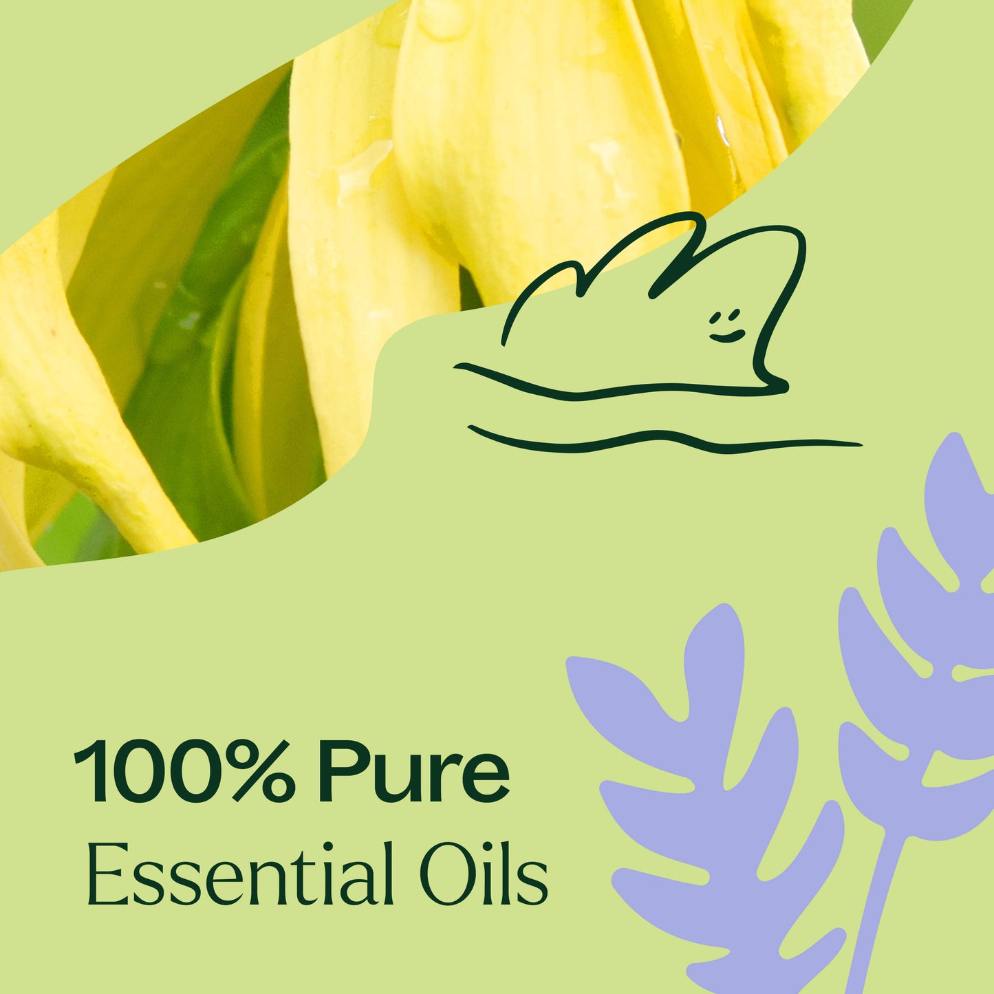 100% pure essential oils