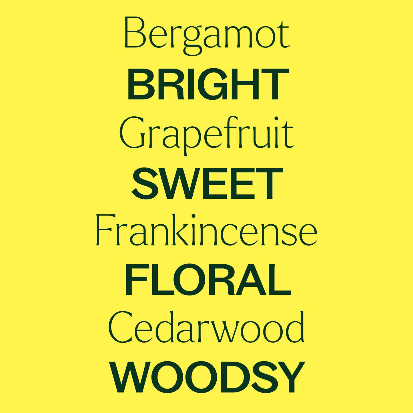 Bergamot, grapefruit, frankincense, cedarwood. Bright, sweet, floral, woodsy