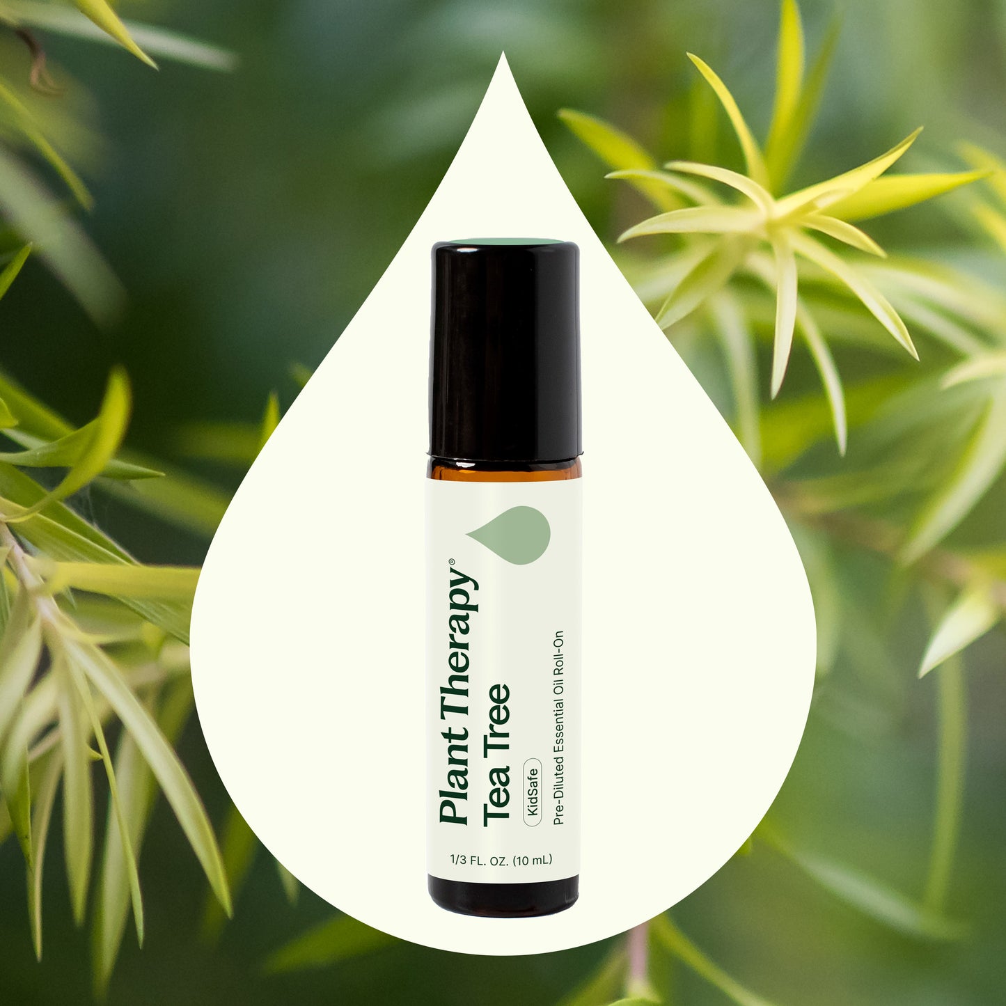 Tea Tree Essential Oil Pre-Diluted Roll-On