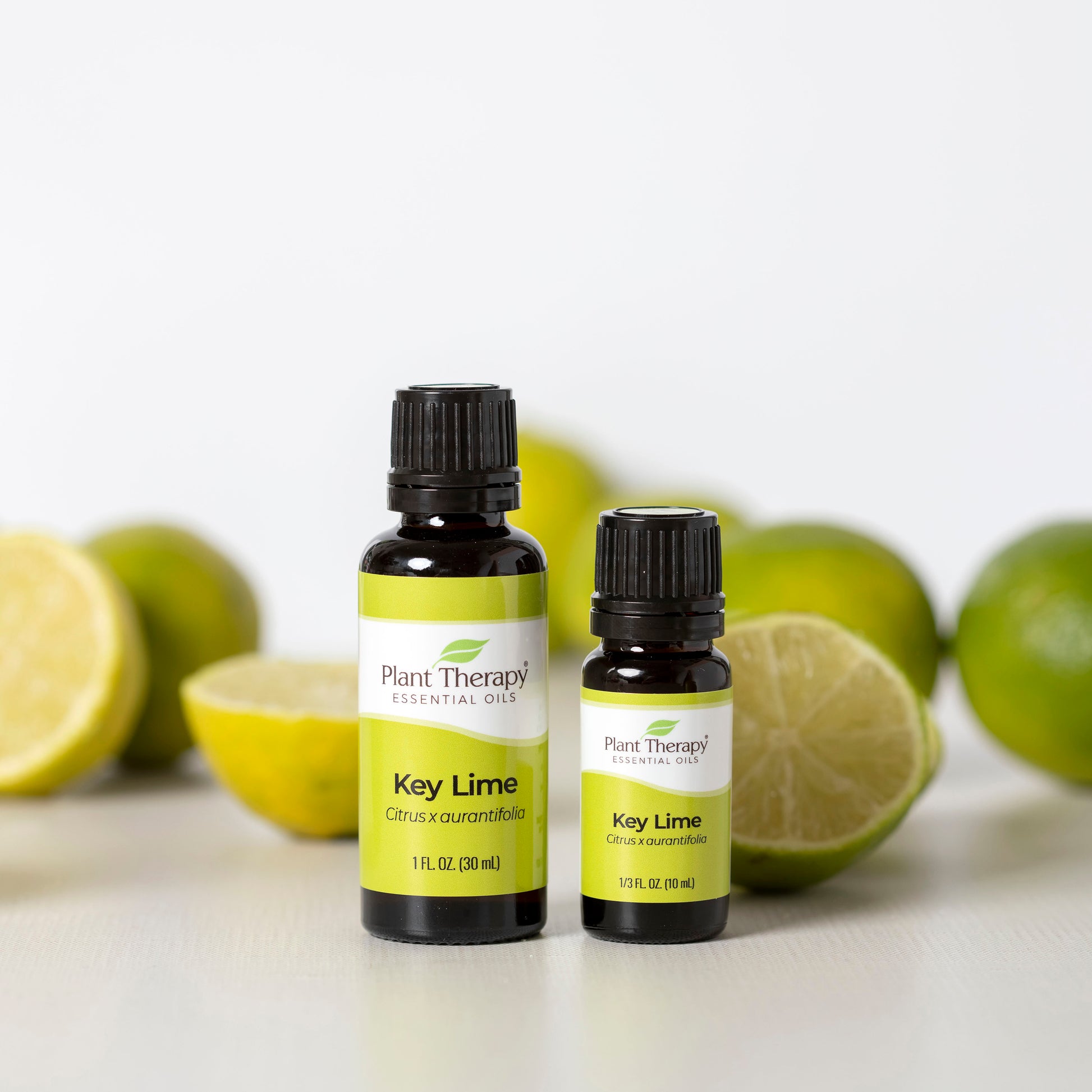 Plant Therapy Lime Steam Distilled Essential Oil 30 ml (1 oz) 100% Pure