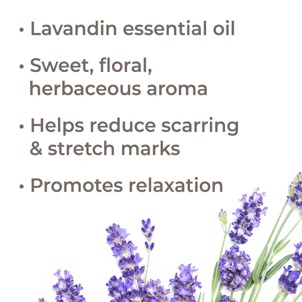 Lavandin Essential Oil – Plant Therapy