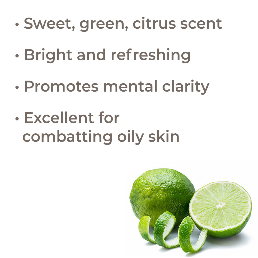 Lime Steam Distilled Essential Oil – Plant Therapy