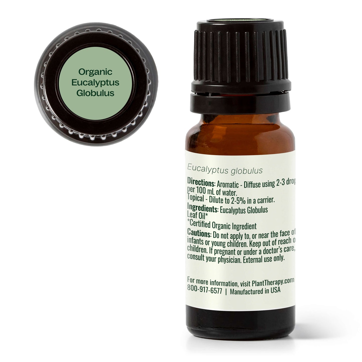 Organic Eucalyptus Globulus Essential Oil