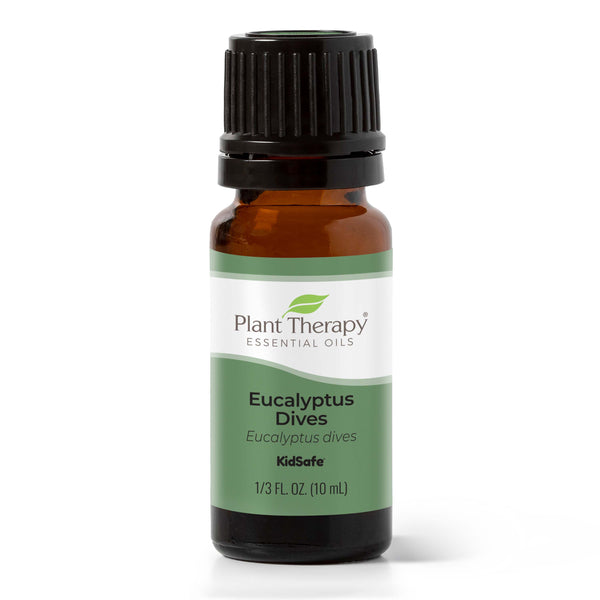 Organic Eucalyptus Dives Essential Oil - Aromatics International