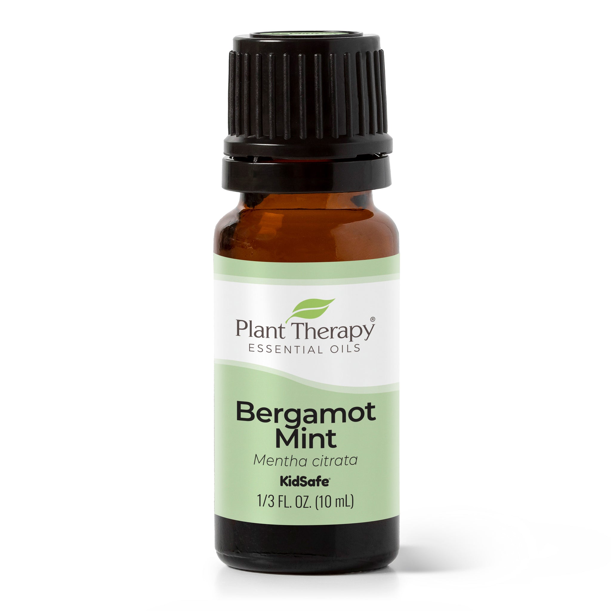 Bergamot Mint Essential Oil – Plant Therapy