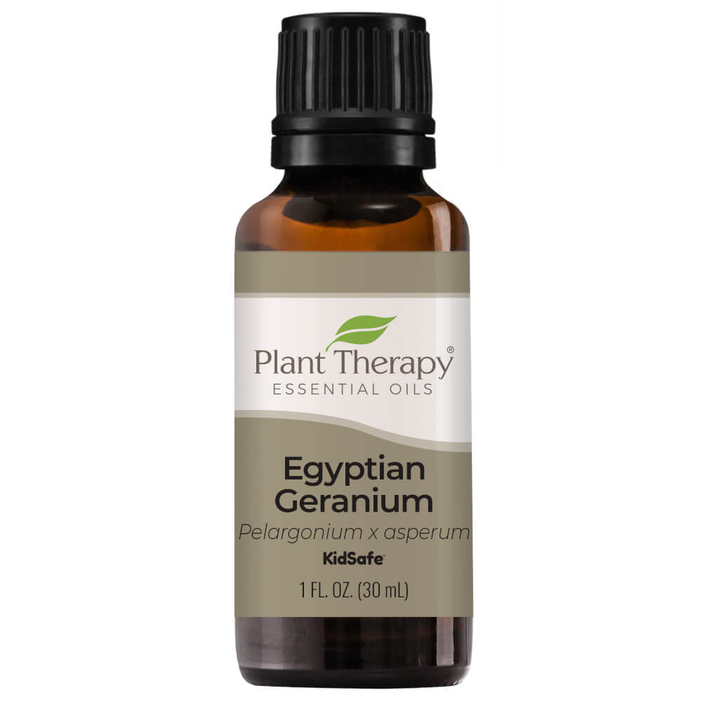 Geranium (Pelargonium x asperum) Essential Oil