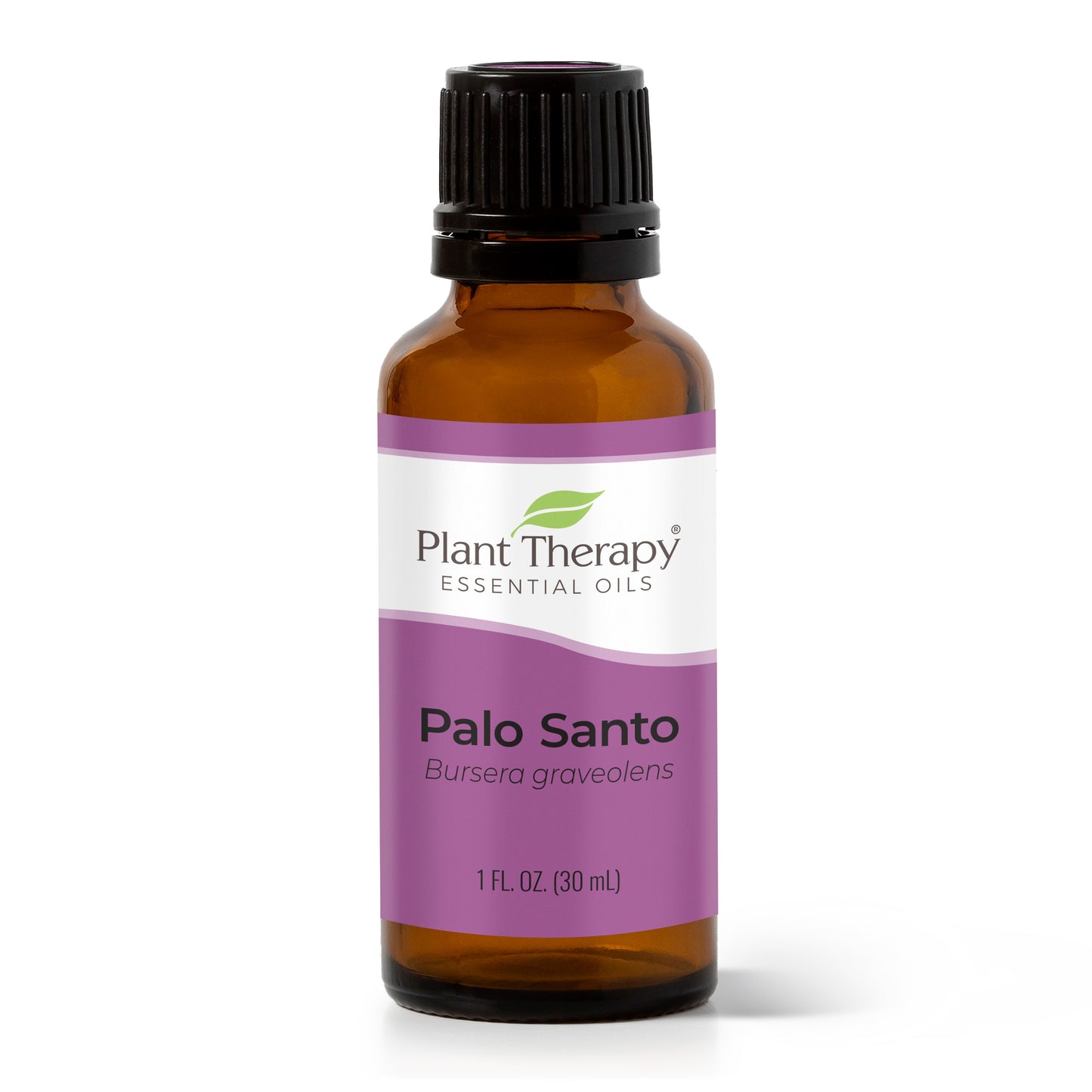A Definitive Guide To Using Palo Santo Essential Oils