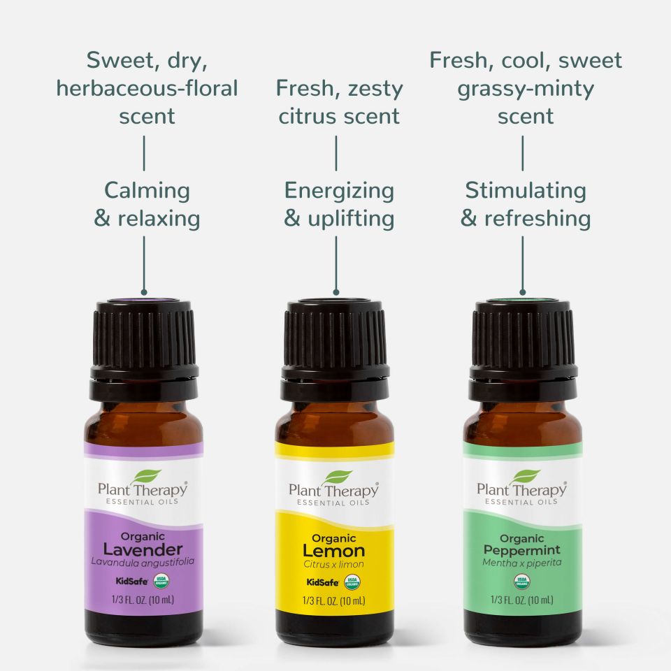 Plant Therapy Aromatherapy 10mL Essential Oil, 1/3oz, Organic Vetiver (2  Pack) - 1 x 1 x 2.69 inches - Yahoo Shopping